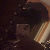 _herrhiddencollection1