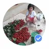 quangngo8265