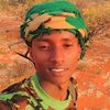 cumarshariif77
