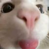 ningning__99