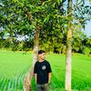 mizan90.0