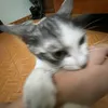 hgiabaoo.0