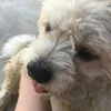 onnguytngnh