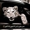 abdo.nga