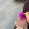 ismahane__lfk