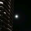 likethestarsmissthemoon