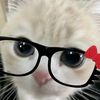 zhaayb_zpt