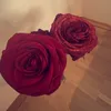 lilli.mria