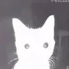 alexgod100