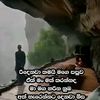 user490426687332