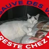 lucieevagaby