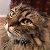 fluffnugg4