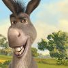 🔨El Burro de Shrek🫏🪵🪚