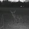 ryans4232