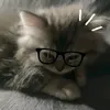 vocuajack97