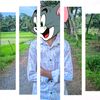 mdsumon135g