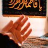 syedarani7860