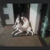 mason10jake9