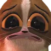 dinohub1