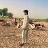 aftab.khan25