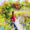 s_shariairsojib