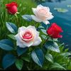 marjia_jannat_