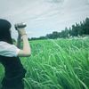 niki_dwx