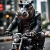 ian_lou7771