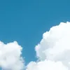 userjnshhr7h7l