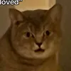 uupunut_kummitus