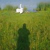 user5139519114314