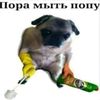 popu.moy