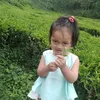 sangitaghising335