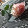 lojaynalsaaed