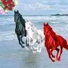 user4480014994216
