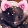erica_4627