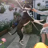 bassydog