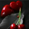 cherry_15.02