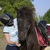 horsemanship_l.g.m