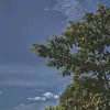 rivanvnky21