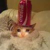 kittylover5670