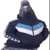 dhehshjdbwhedhs