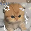 thom_247