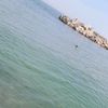 islam_simou_cm