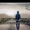 youssef22691