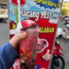 eskacang_yess
