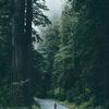 rashed_7812