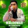 waldemaralvarado9