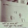 mdsojib.hassan
