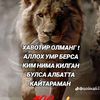 bekbuhara2